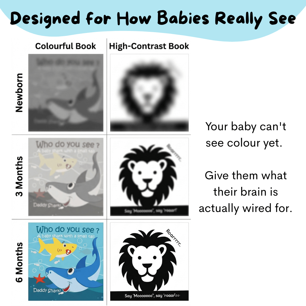 High contrast infant cloth books pack of 3 - My First Book Set Nubokind India    